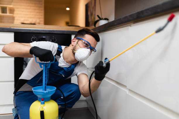 Best Wasp Removal Services  in Galva, IL