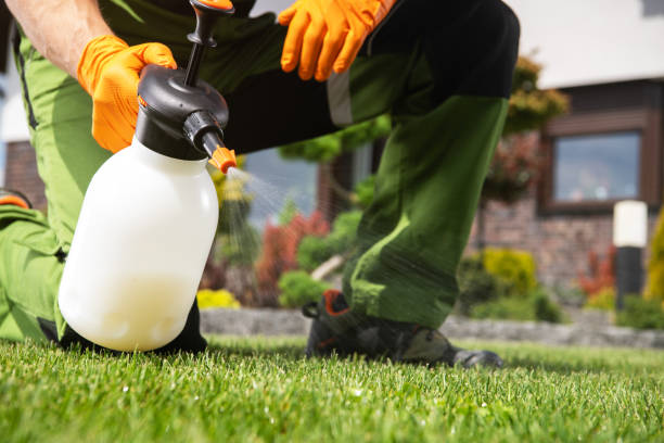 Best Best Pest Control Companies  in Galva, IL