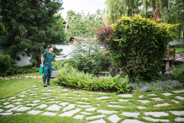 Best Mosquito Control Services  in Galva, IL