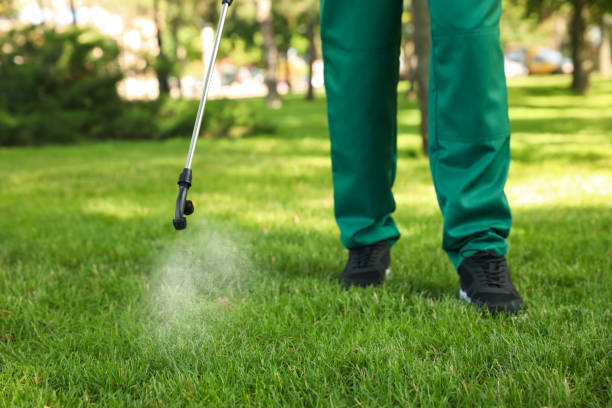 Best Flea Control Services  in Galva, IL