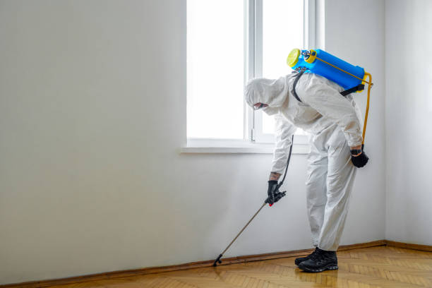 Best Pest Prevention Services  in Galva, IL