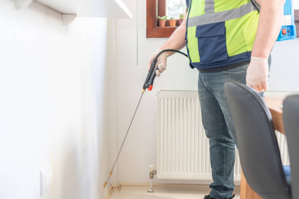 Best Wasp Removal Services  in Galva, IL