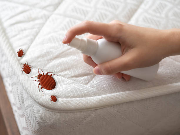 Best Pest Control for Homes  in Galva, IL