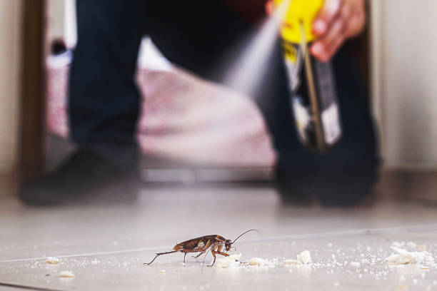 Wildlife Control Services in Galva, IL