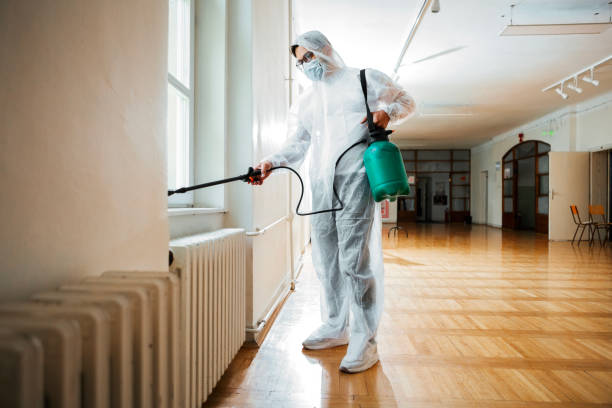 Flea Control Services in Galva, IL