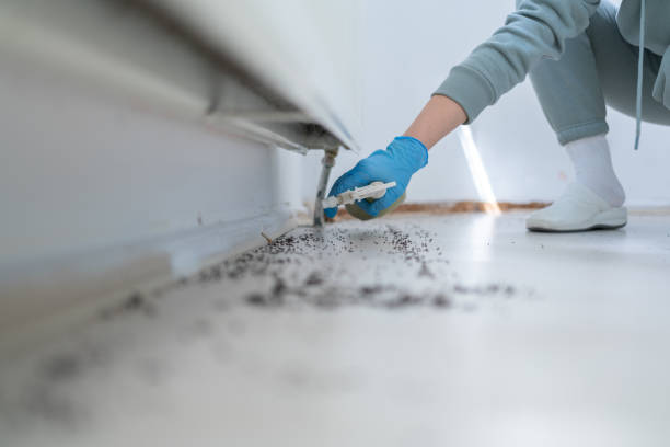 Best Commercial Pest Control Services  in Galva, IL